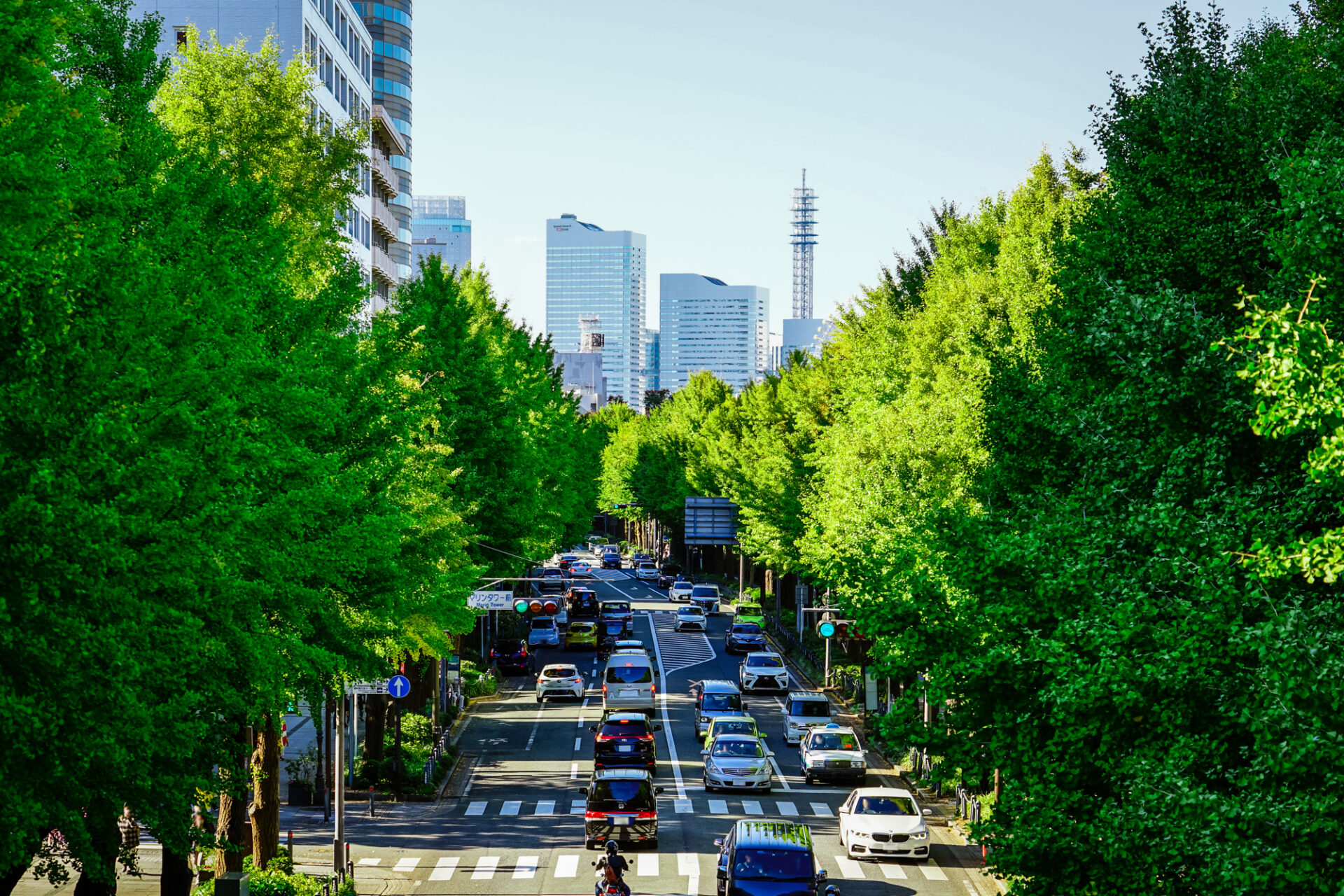 pixta_83165524_M
